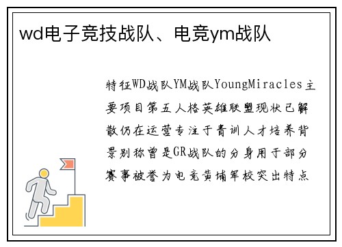 wd电子竞技战队、电竞ym战队